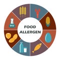 Food allergen icons set isolated on white background. Infographics template. Colorful vector illustration. Royalty Free Stock Photo